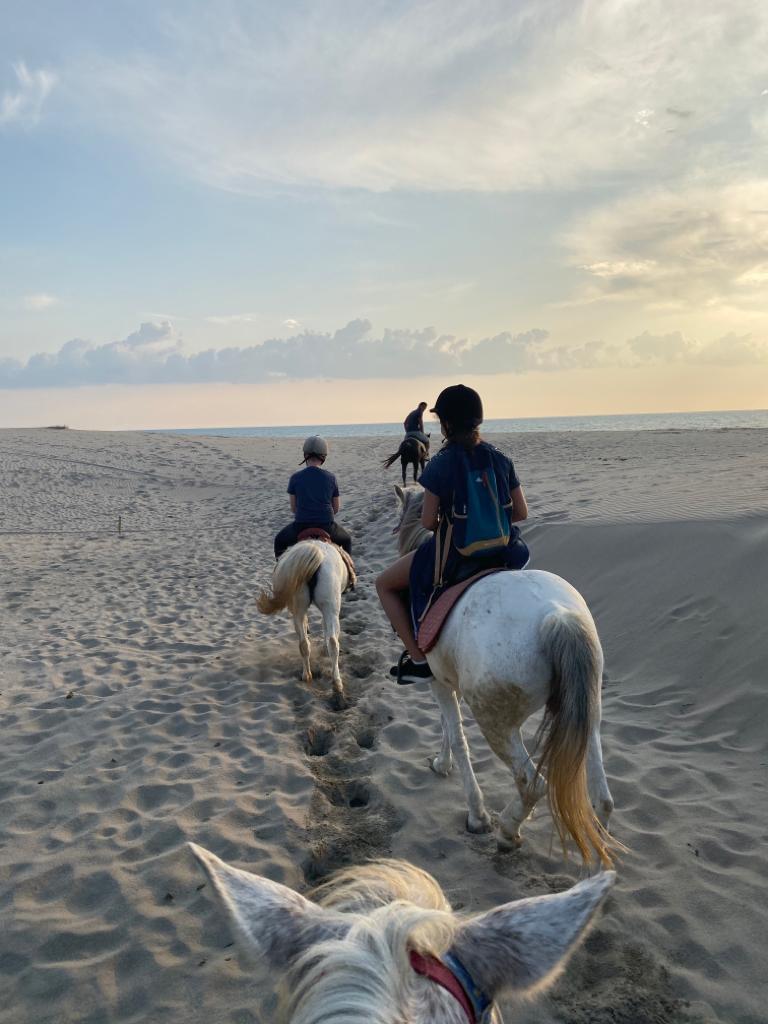 Nearby Activities